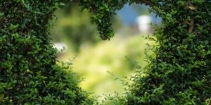 sustainability 2000x990 1