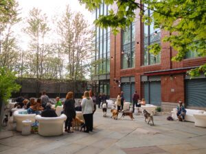 People and dogs gather on a patio with white outdoor seating, surrounded by trees and a brick building with large windows.