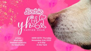 Close-up of a dogs nose on a pink floral background with text about a Barbie-themed Yappier Hour event on November 2nd, 2023, at 5:30pm.